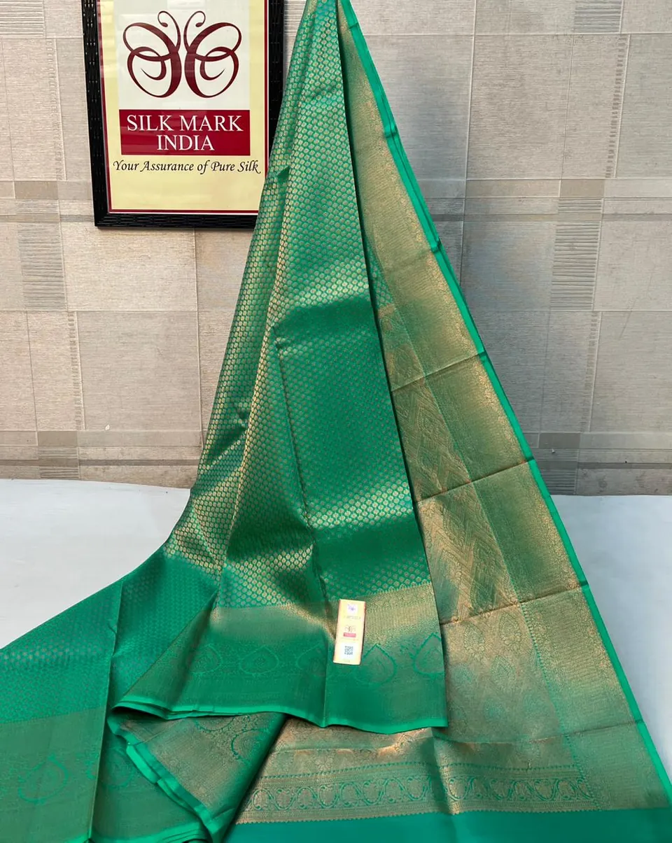 Sea Green kanchipuram pure silk saree
